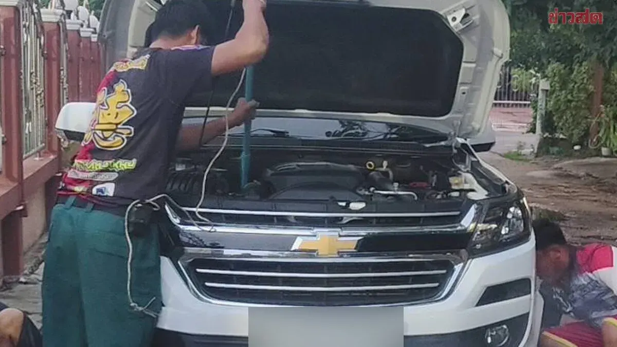 Shock as Python Flees into Car Engine, Locals Rush to Check Lucky Numbers