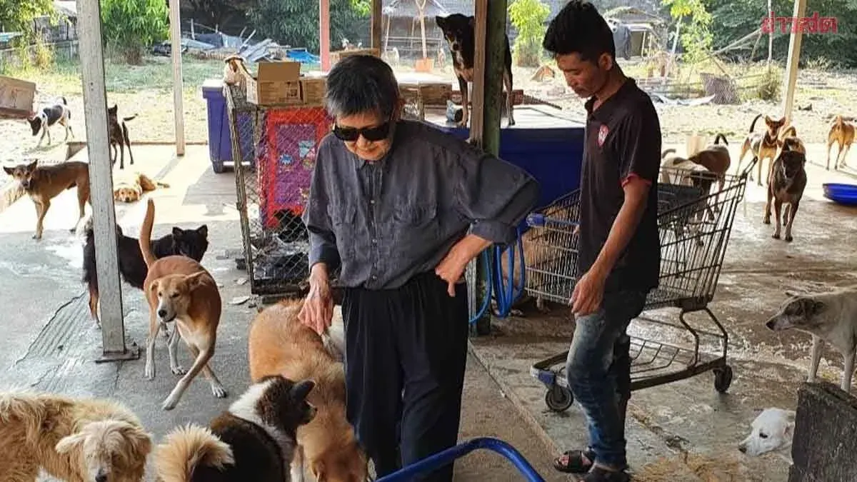 Former Millionaire Sells All Assets to Care for 2,000 Stray Dogs and Cats