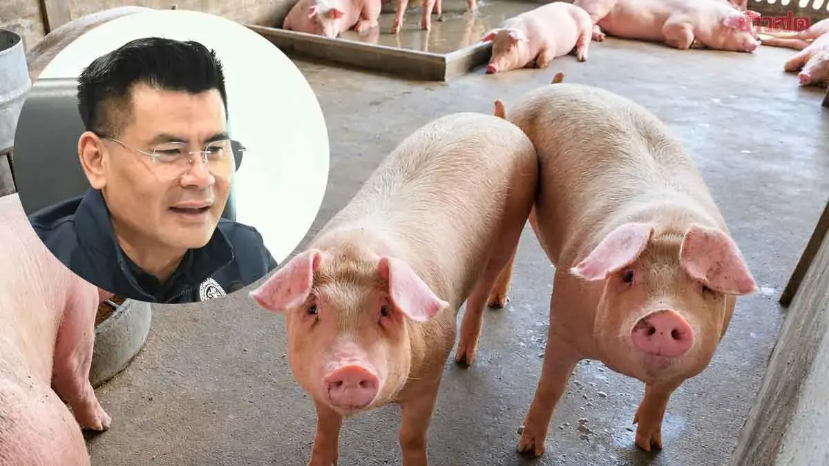 Flood Hits 9,000 Pigs, Pork Supply Remains Stable