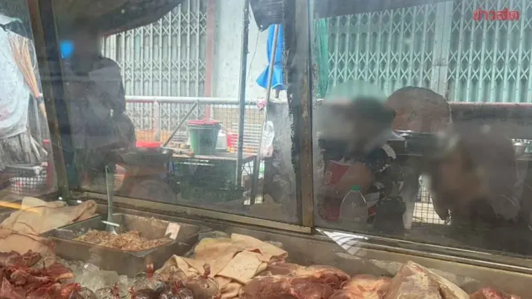 Phrae Cracks Down on Raw Pork as Disease Deaths Mount