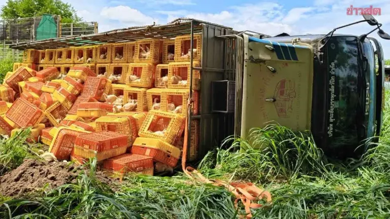 Chicken Truck Rolls Downhill, Driver Killed