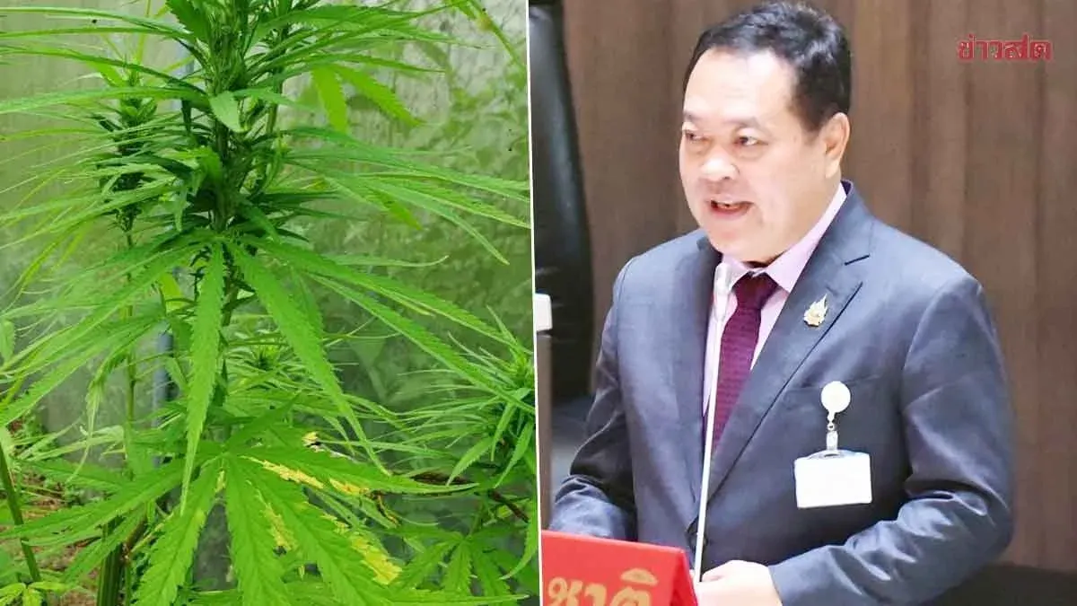 Twenty MPs Propose Cannabis Control Bill Limiting Medical Use