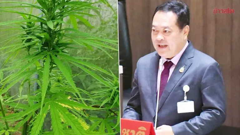 Twenty MPs Propose Cannabis Control Bill Limiting Medical Use