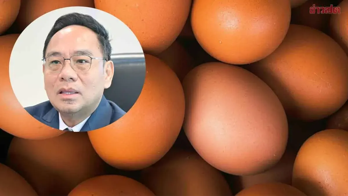 Thailand Launches Discounted Egg Sales Program Nationwide