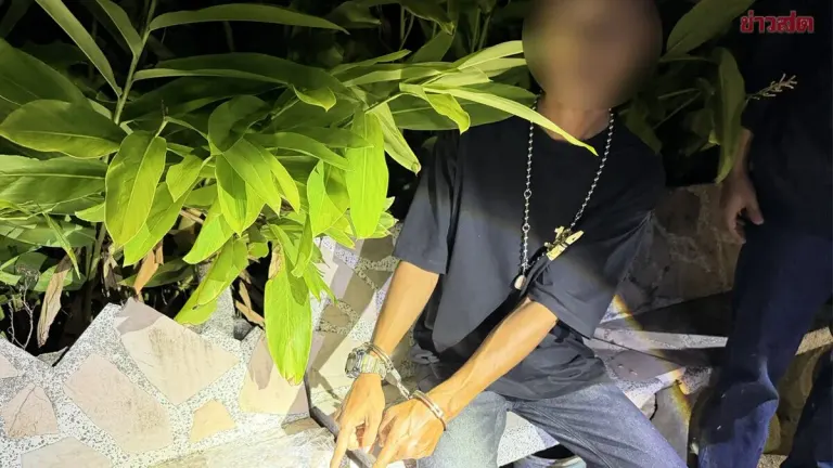 Police Arrest Gold Necklace Snatcher Within Six Hours