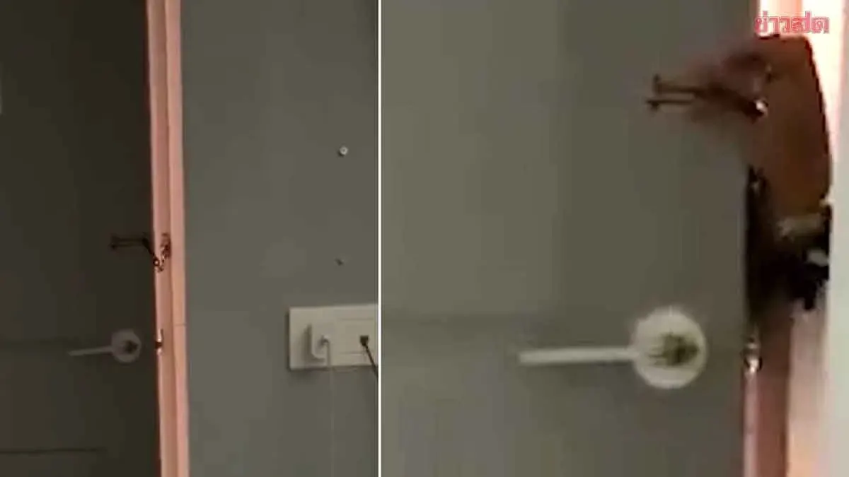 Woman Alone in Hotel Room Attacked by Adjacent Guest