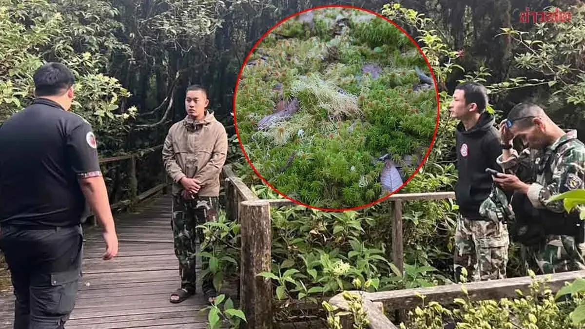 National Park Charges 10 Tourists for Trampling Rare Alpine Plants