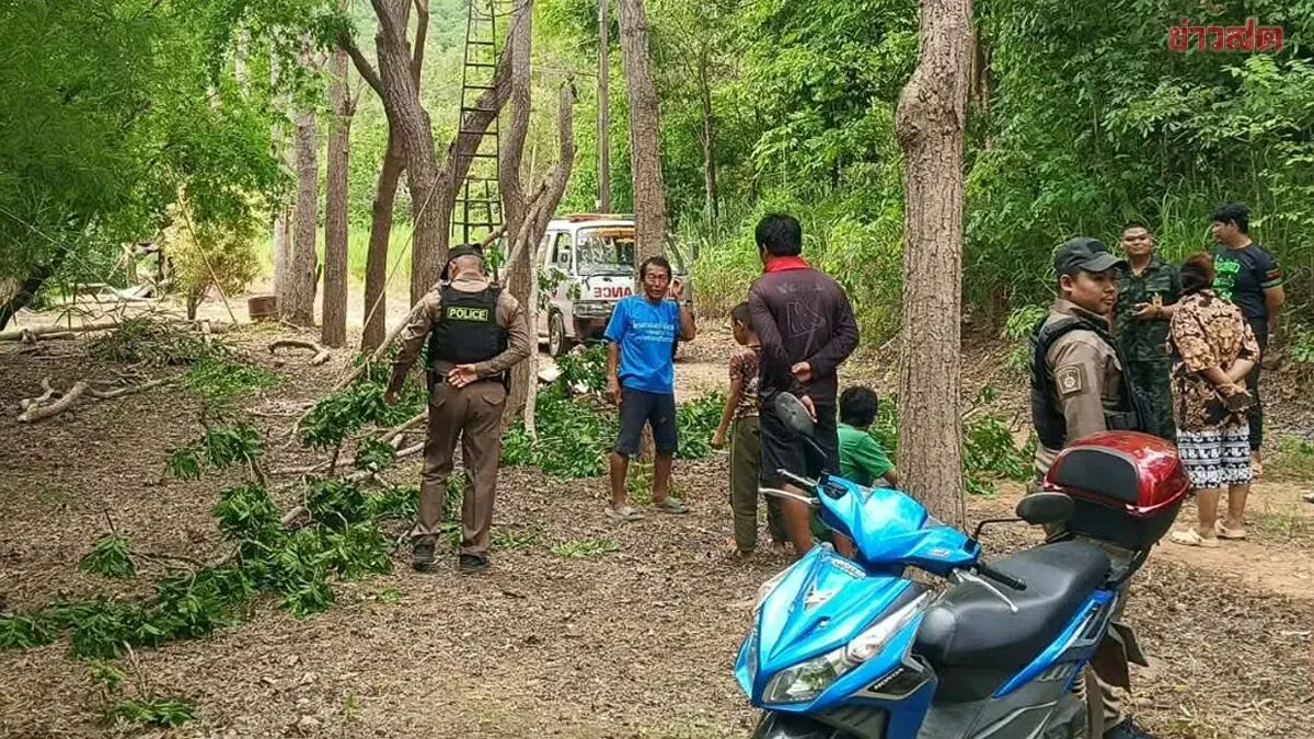 92-Year-Old Man Dies After Falling From Calamansi Tree