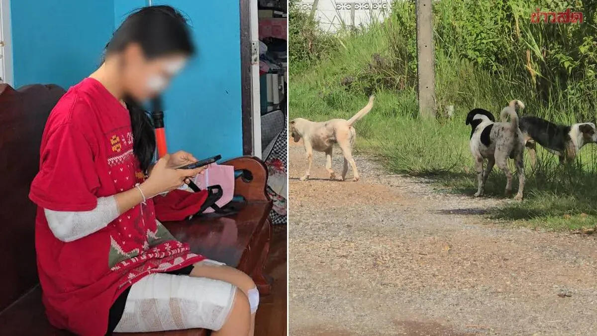 Teen Hurt in Motorcycle Crash After Pack of Dogs Attacks
