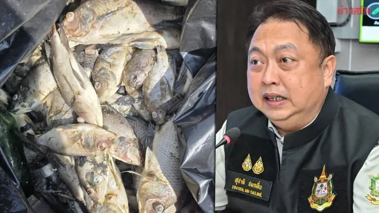 Minister Orders Probe After Mass Fish Death in Rangsit Canal