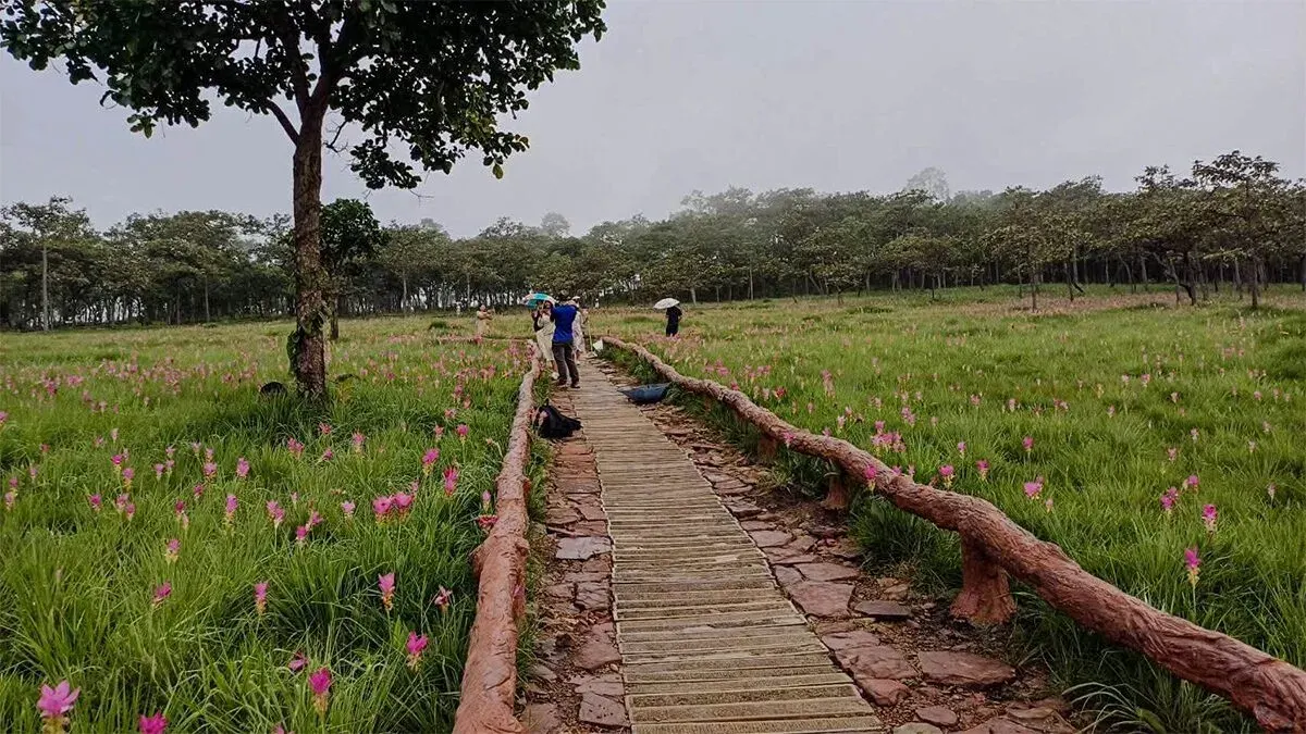 Thong National Park Unveils 'Navel of Heaven' Attraction