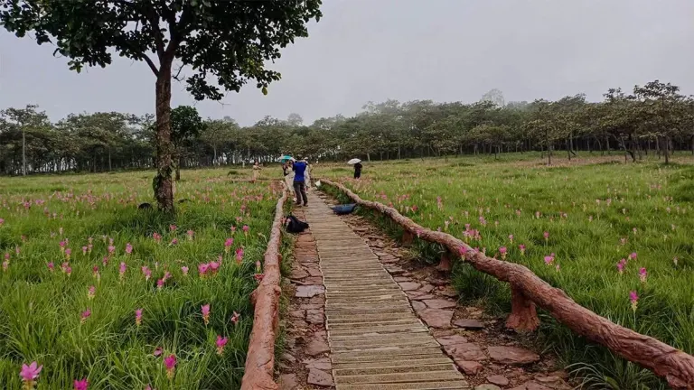 Thong National Park Unveils 'Navel of Heaven' Attraction
