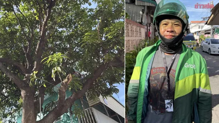 Praise for Speech-Disabled Rider Who Heroically Climbed Tree to Rescue Unconscious Homeowner Before Paramedics Arrived