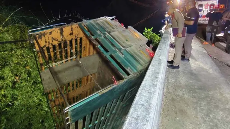 Married Couple Dies After Truck Plunges Into River