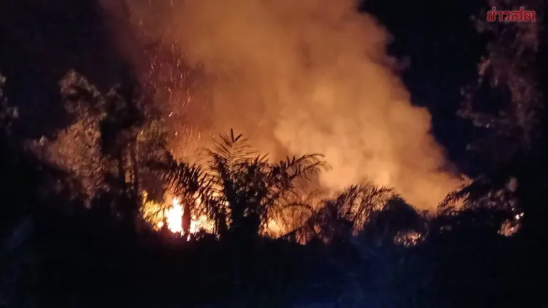 Chumphon On High Alert as Marshland Fire Engulfs Nearly 100 Acres; Firefighting Crews Battle Blaze with Water Trucks Amid Flare-Up Fears