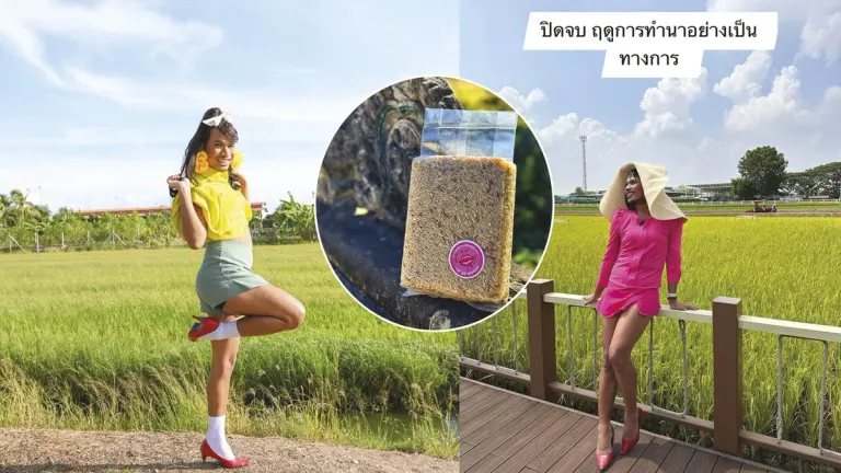 Diverse Rural Technologies – A New Strategy for 'Selling Rice' Creating Content to Penetrate Online Markets