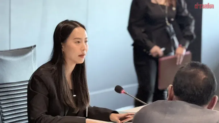 'Ice Rakchanok' Named Chair of Budget Oversight Committee; 15 Positions Announced