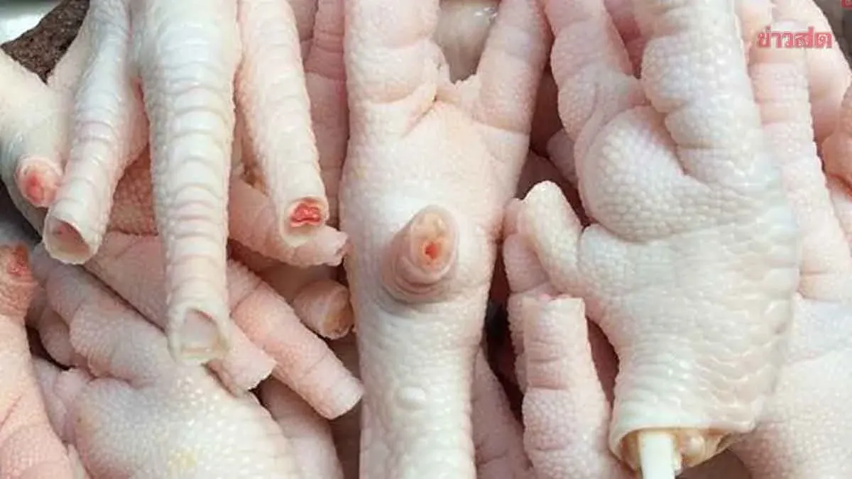 China Blacklists 17 Thai Companies Over Smuggled Chicken Feet Exports; Hunt Underway for Smugglers Posing as Thai Producers