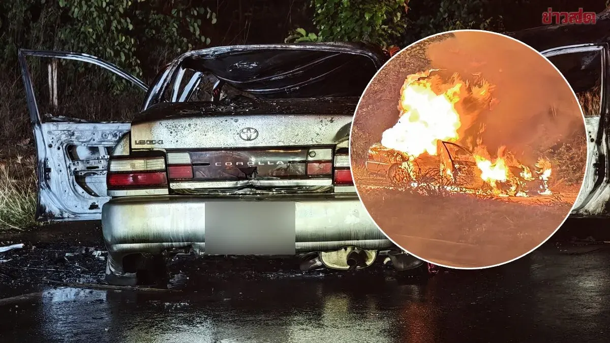 Car Strikes Wild Elephant, Bursts Into Flames, Killing 70-Year-Old Passenger; Three Elephants Spotted Crossing Road