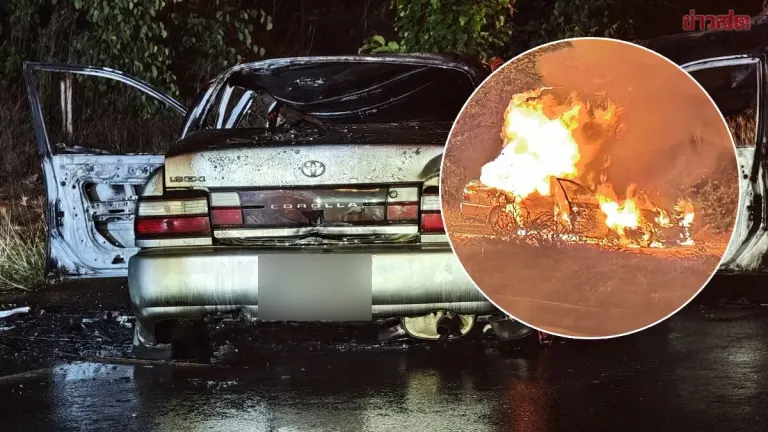 Car Strikes Wild Elephant, Bursts Into Flames, Killing 70-Year-Old Passenger; Three Elephants Spotted Crossing Road