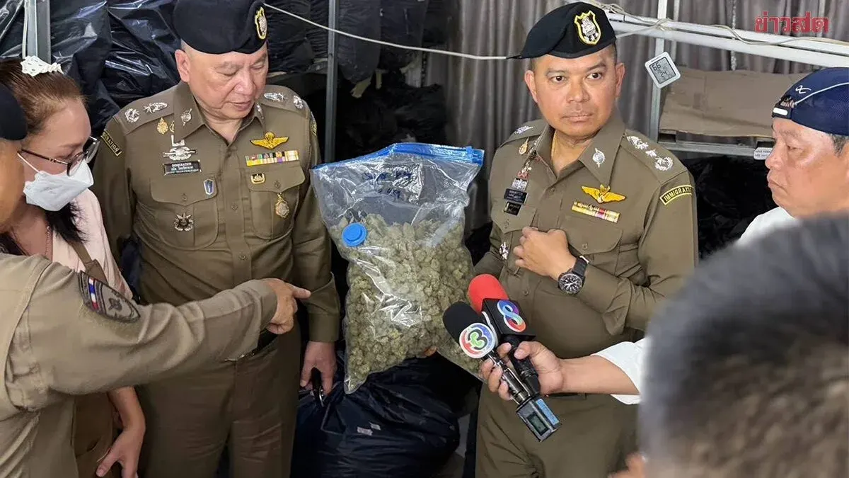 Bangkok Police Seize 5 Tons of Cannabis in Luxury Raid