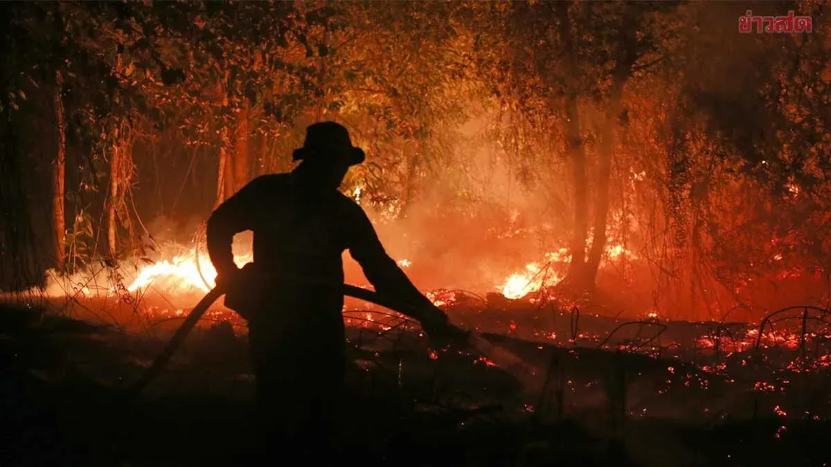 Indonesia Arrests 139 Over Arson in Major Wildfire Crackdown