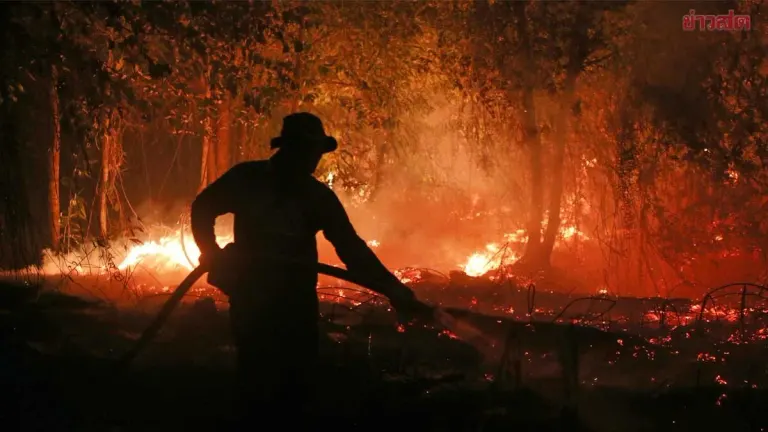 Indonesia Arrests 139 Over Arson in Major Wildfire Crackdown