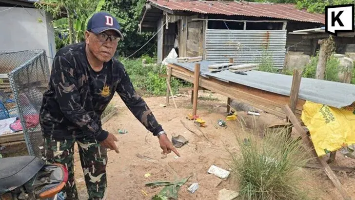 Wild elephant kills patrol leader in Buriram village