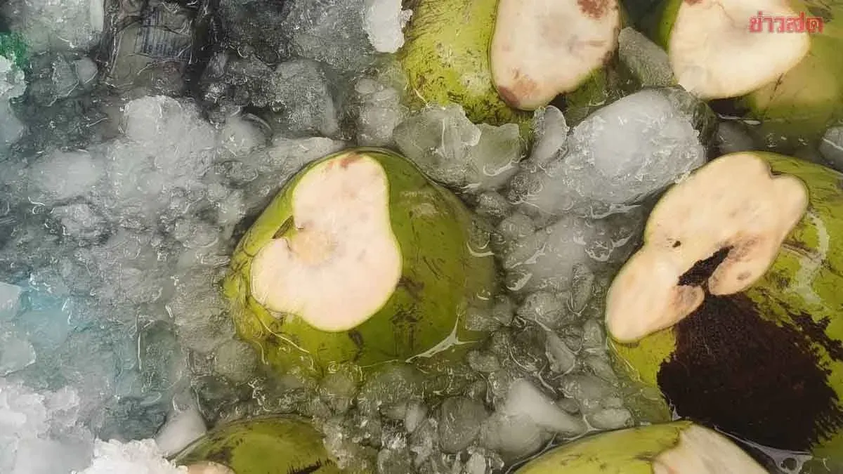 Phuket Commerce Department Inspects Patong Beach Over Coconut Price Controversy, Tightens Merchant Compliance