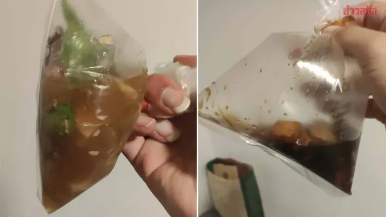 Woman Orders Two Dishes for 150 Baht, Opens Bag to Find Shockingly Small Portions—Calls Restaurant and Gets Backlash