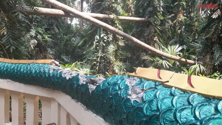 Blessed by Ancestors: Ancient Trees Fall on Naga Statue, Damage Fortunately Occurs During Noon Closure with No Injuries