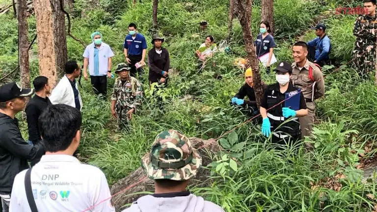 Human Skeleton Found on Red Cliff Leads to Year-Old Lead