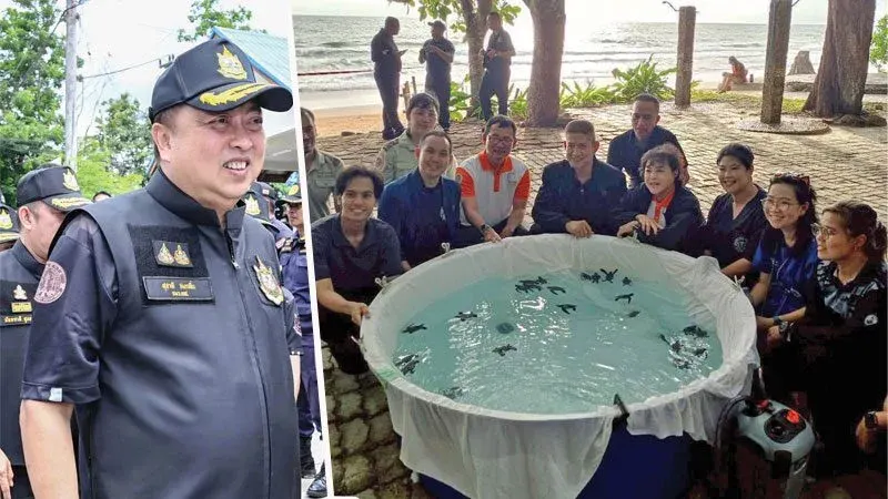 Thailand Releases Baby Leatherback Turtles at Khao Lam Pi National Park
