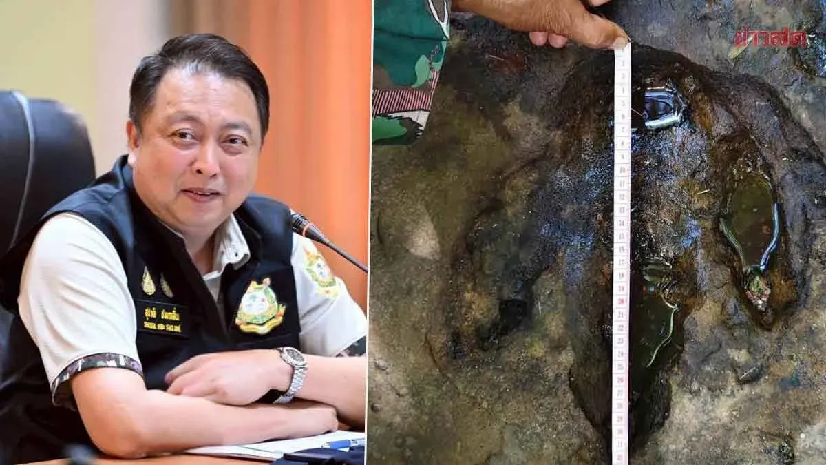 Minister Orders Survey of Dinosaur Footprints Found in Udon Thani