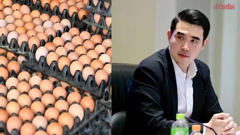 Egg Farmers Pledge No Further Price Hikes