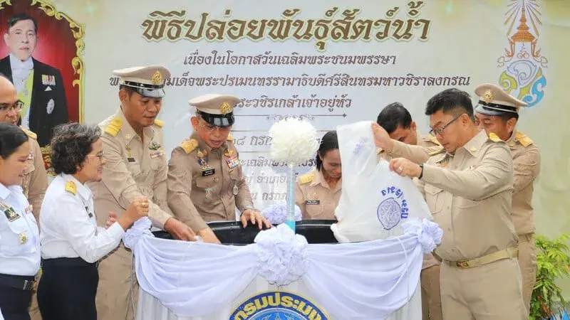 Phuket Releases 300,000 Shrimp for King's Birthday