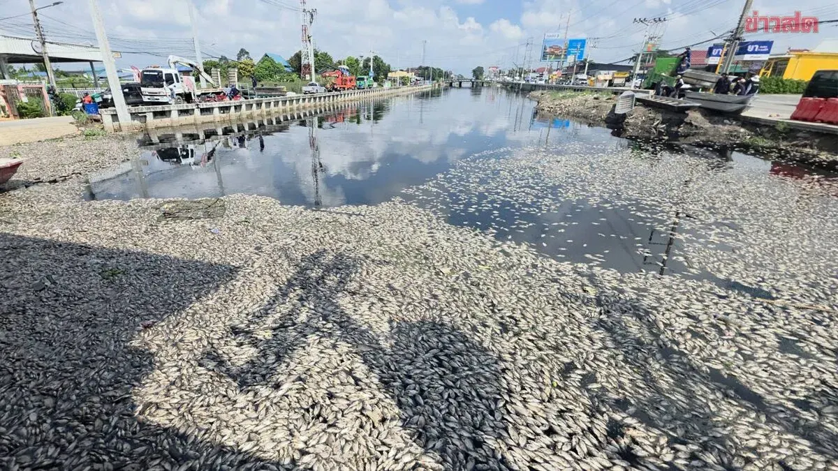Authorities Bury 30 Tons of Dead Tilapia in Pathum Thani