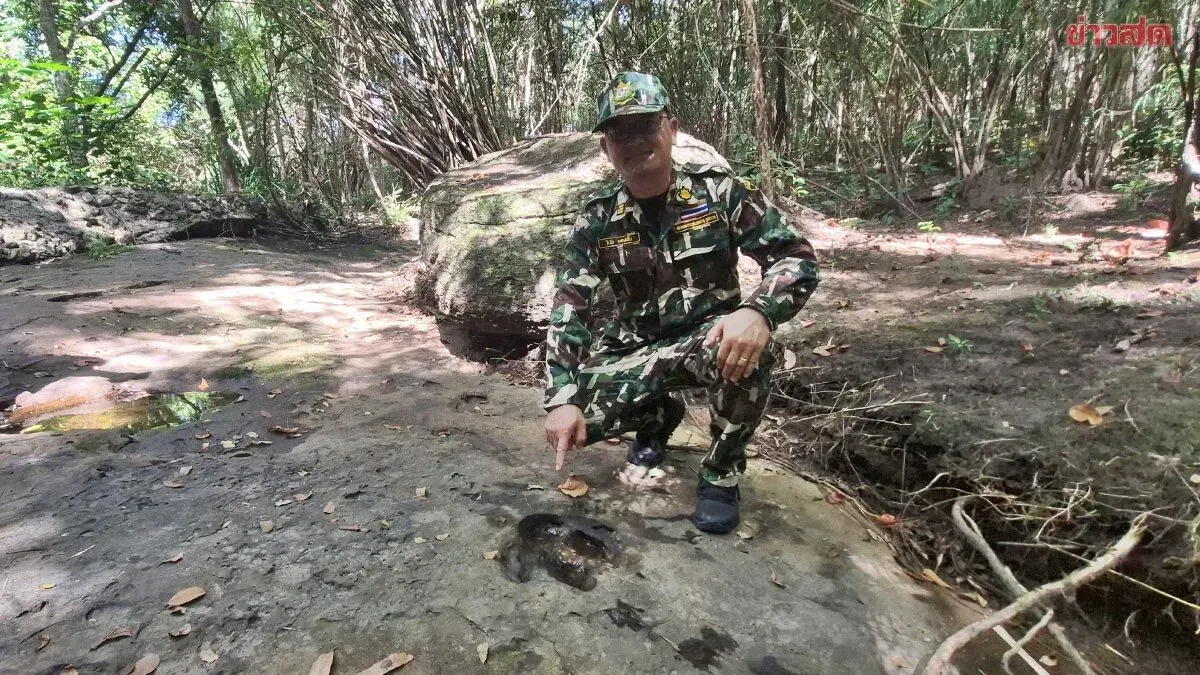 Three More Dinosaur Footprints Found in Udon Thani Park