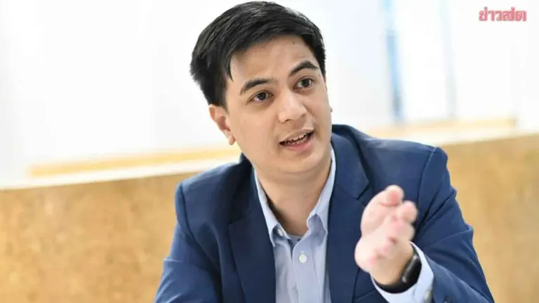 Opposition Leader Unveils Five-Point Plan To Prove Senate Election Fraud