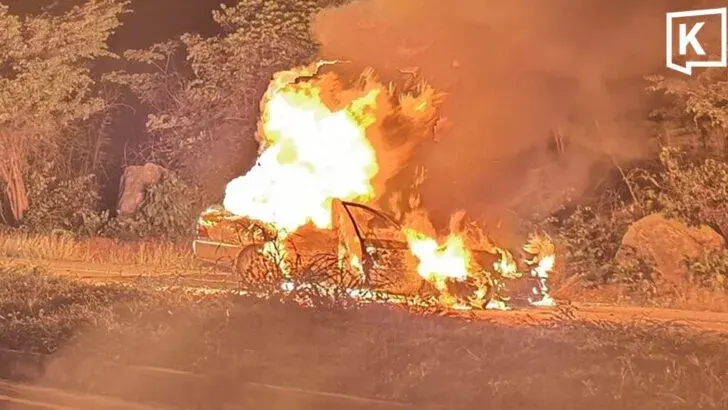 Car Bursts into Flames After Striking Wild Elephant; 1 Dead