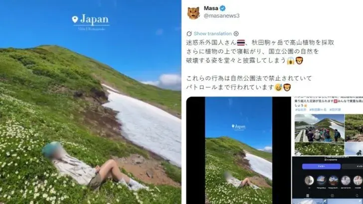 Thai Influencer Under Fire for Damaging Japan Alpine Plants