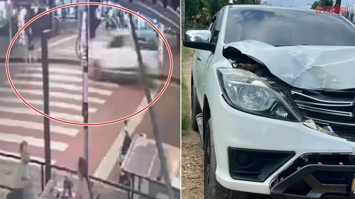 Driver Surrenders After Hit‑and‑Run Kills German Couple in Phang Nga