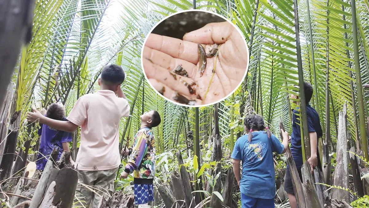 Fresh Voices from Youth – Hope in the Mangrove Forest Through the Story of Mahachai Betta Fish