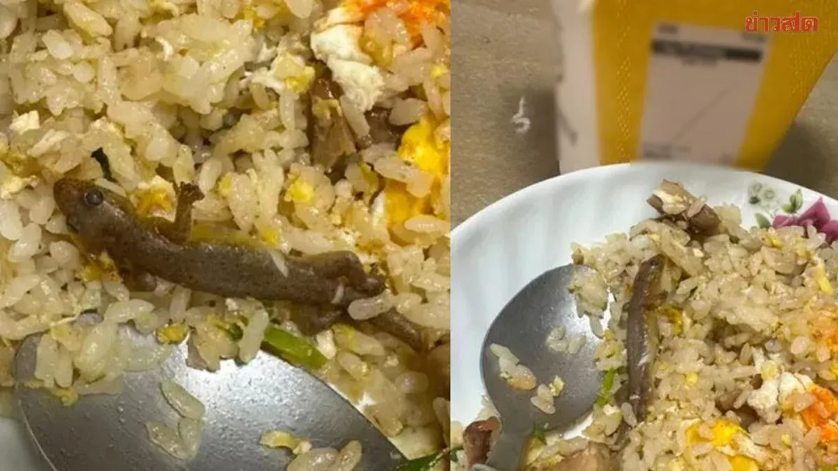 Singapore Woman Claims Lizard Remains Found In Fried Rice