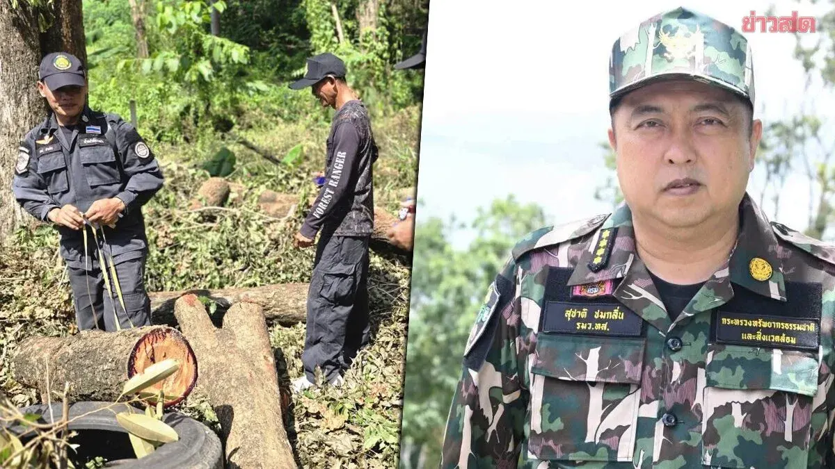Six Arrested for Illegal Logging in Kamphaeng Phet Forest Reserve