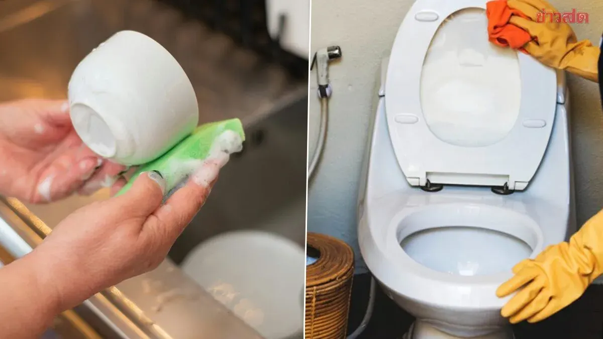 Alarming Research Reveals Kitchen Sponges Harbor More Bacteria Than Toilet Seats When Reused Long-Term