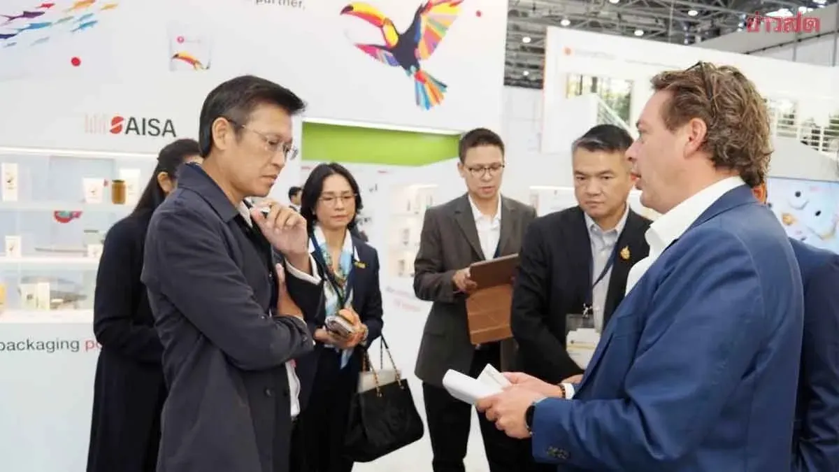 Thailand's Cassava Flour Successfully Penetrates German Market; Major Global Companies Interested in Joint Venture Expansion