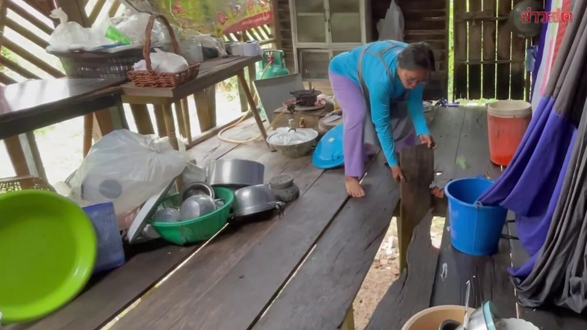 "Can't Do It, Can't Register in Time" - Elderly Woman from Chainat Gives Up Rights to Thailand Helps Thailand Plus Program Despite Needing Money for Food