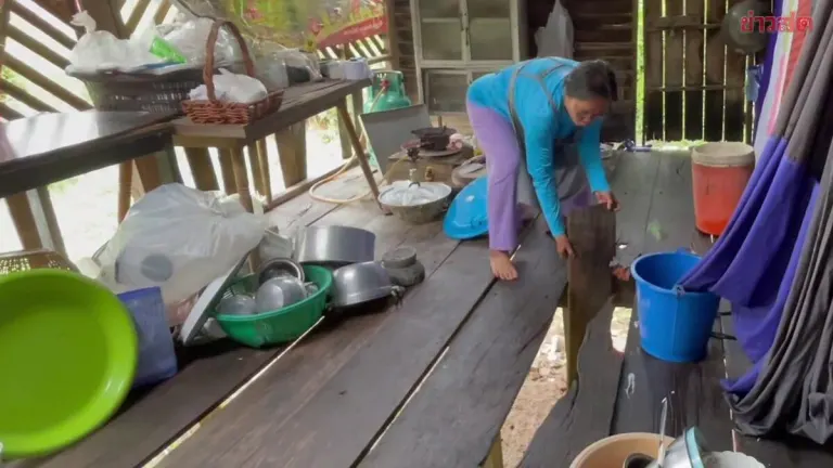 "Can't Do It, Can't Register in Time" - Elderly Woman from Chainat Gives Up Rights to Thailand Helps Thailand Plus Program Despite Needing Money for Food