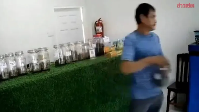 Man Steals Premium Cannabis From Shop in Rayong
